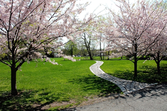 Snug Harbor on Staten Island by Terry Ballard